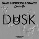 Name In Process  &  Sinapsy  - Cenzontle (Camazots Remix)