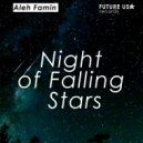 Aleh Famin - Night of Falling Stars