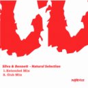 Silva & Bennnet - Natural eElection