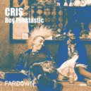 Boy Funktastic - Voca (Original Mix)