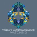 Vol2Cat x Milan Tavares & Lambi - Watching