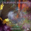 California Sunshine - New Vision