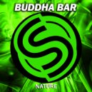 Buddha-Bar chillout - Nature