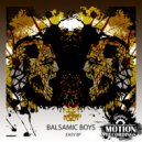 Balsamic Boys - Dark Star (Original Mix)