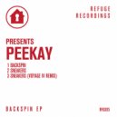 Peekay - Sneakers (Voyage IV Remix)