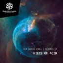 Piece Of Acid - Der Grosse Knall