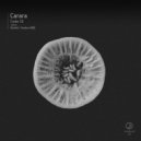 Carara - Code ID (Raftek Remix)