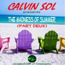 CalvINSOL - The Madness Of Summer