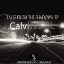 CalvINSOL - Venezuela