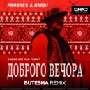 Probass ∆ Hardi - Доброго Вечора (Where Are You From?)