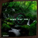 Hedloys - Wait For Me (Original Mix)