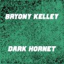 Bryony Kelley - Dark Hornet