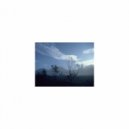 Mindfulness Healing Sleep BGM Project - Ordovician and Mental stability (Sleep BGM)