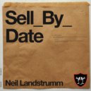 Neil Landstrumm - Lock It