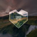 Toricos - What I Need (Original Mix)