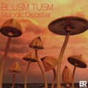 Blusm Tusm - Harmonia Minoria