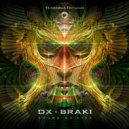DX & Braki - Sound Of Life