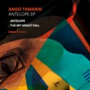 Ango Tamarin - The Sky Might Fall