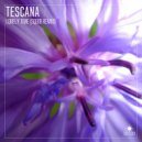 Tescana - Lonely Time (Squib Remix)