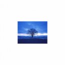 Mindfulness Healing Sleep BGM Project - Rotation and Attraction