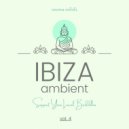 Sunset 4 - Axis Of Vision (Original Mix)