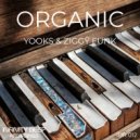 Yooks & Ziggy Funk - Organic