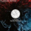 Florian Bernz - Moonlight