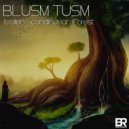 Blusm Tusm - New Dimension