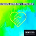 DJ Shayne x David Falconer - Do You Feel It