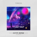 Toricos - I Wanna Fly With You (Original Mix)