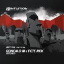 Goncalo M & Pete Mek - Glitched