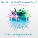 New World & Nirav Sheth, NlightN - True Love (Original Mix)