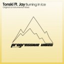 Tonski ft Jay - Burning In Ice (Instrumental Mix)