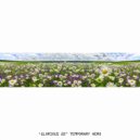 Temporary Hero - Glorious (The Remixes)