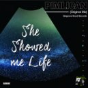 Pimlican - She Showed Me Life