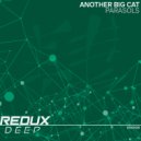 Another Big Cat - Parasols (Original Mix)