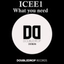 ICEE1 - What You Need