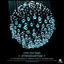 Over The Flash - Synchronysm