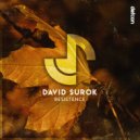 David Surok - Resistence