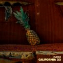 Floydz - California 22 (Extended Mix)