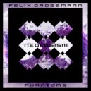 Felix Grossmann - Dark Control