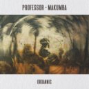 Professor (RO) - Makumba