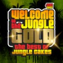 DJ Hybrid ft. Haribo - Raised In The Jungle