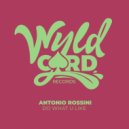 Antonio Rossini - Do What U Like