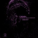 Carara - Magnetic Field (Wrong Format Remix)