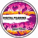 Digital Pilgrimz - Love in my Heart
