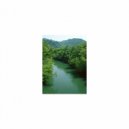 Mindfulness Healing Sleep BGM Project - Forever and Sensitivity