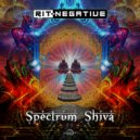 Rit - Negative - Spectrum Shiva (Original Mix)