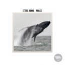 Ettore Manna - Whales