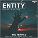 Entity - These Are The Best Days
